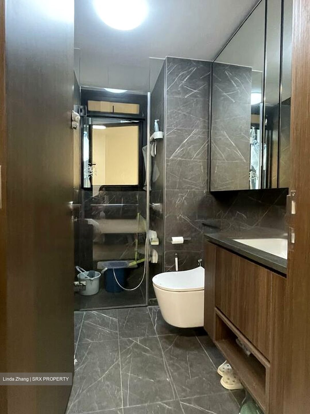 Kopar At Newton (D9), Apartment #456813611